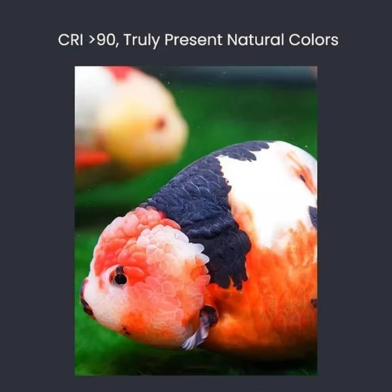 

Светодиодный светильник MAYIN 100-240В Super Colour 100W для аквариумов с растениями и рыбами, с регулировкой времени, для стимуляции роста водорослей и освещения аквариума