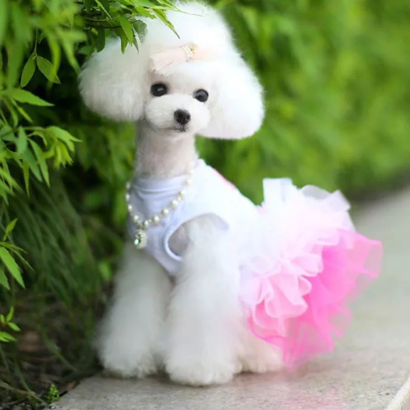 Cat Clothes Dog Wedding Dress Cotton Lace Floral Dress Large Bowknot Pet Dog Dress Summer Clothing For Small Medium Dog Supplies