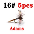 Adams