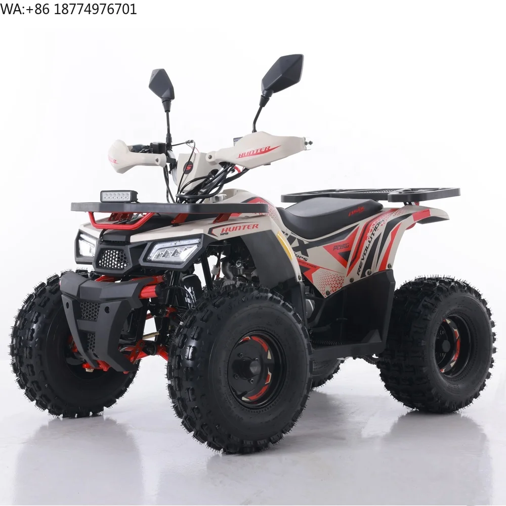 Tao Motor 2024 New ATV 125 Cheap Chinese Automatic Chain Drive Farm ATV 125cc ATV