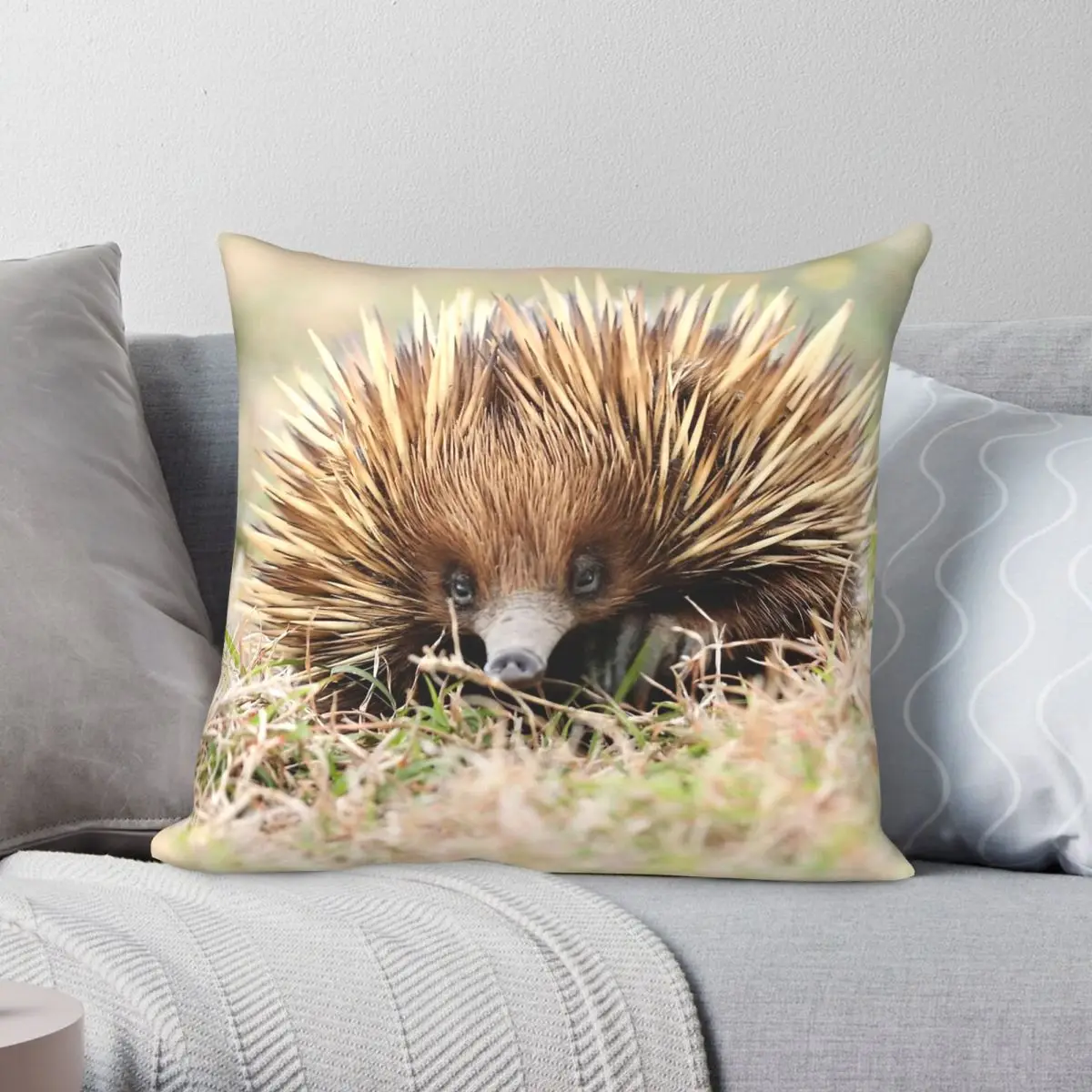 

Echidna On The Prowl Square Pillowcase Polyester Linen Velvet Printed Zip Decorative Room Cushion Cover