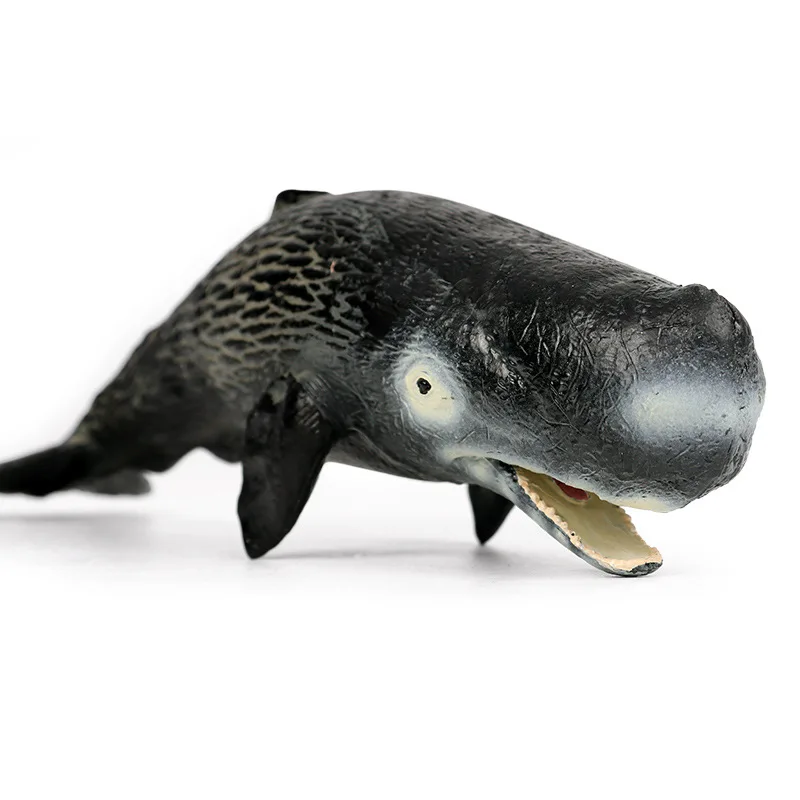 

Children's simulation marine life model, sperm whale shark, marine plastic animal, toy shark model, ornament figure