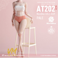 New Worldbox 1/6 AT202/AT202 Pro Upgraded Ver Girl Joint Flexible Body Fat Leg Model 12'' Female Soldier Action Figure Doll Toys
