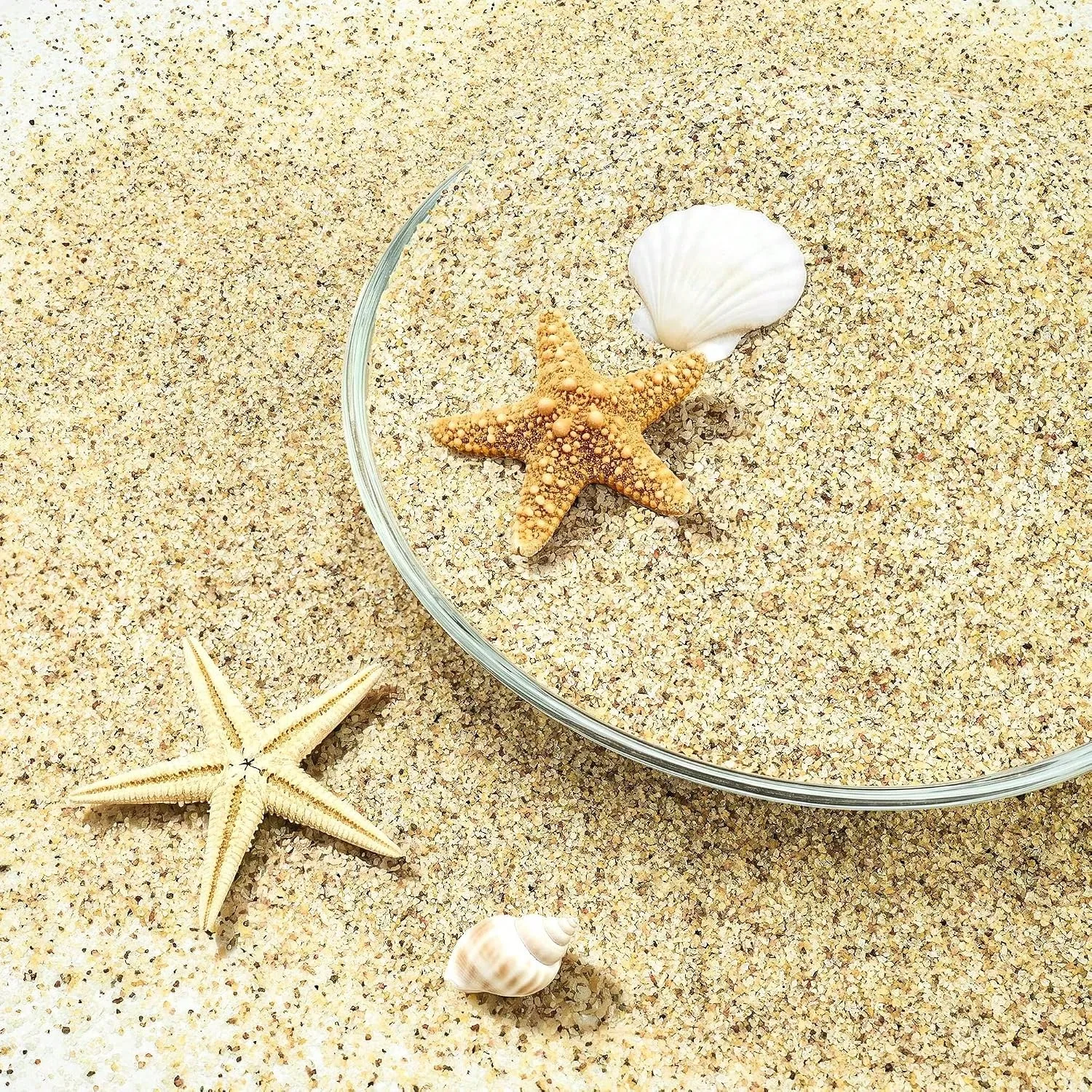 0.4-0.8mm White Aquarium Sand, - Aquarium Planted Tank Substrate ulasan dan harga