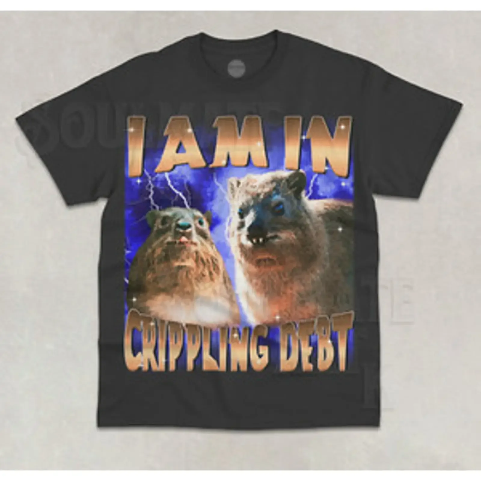 I Am In Crippling Debt T Shirt Funny Meme Possum Hyrax Cute  vintage Washed Soft Versatile Casual streetwear Unisex