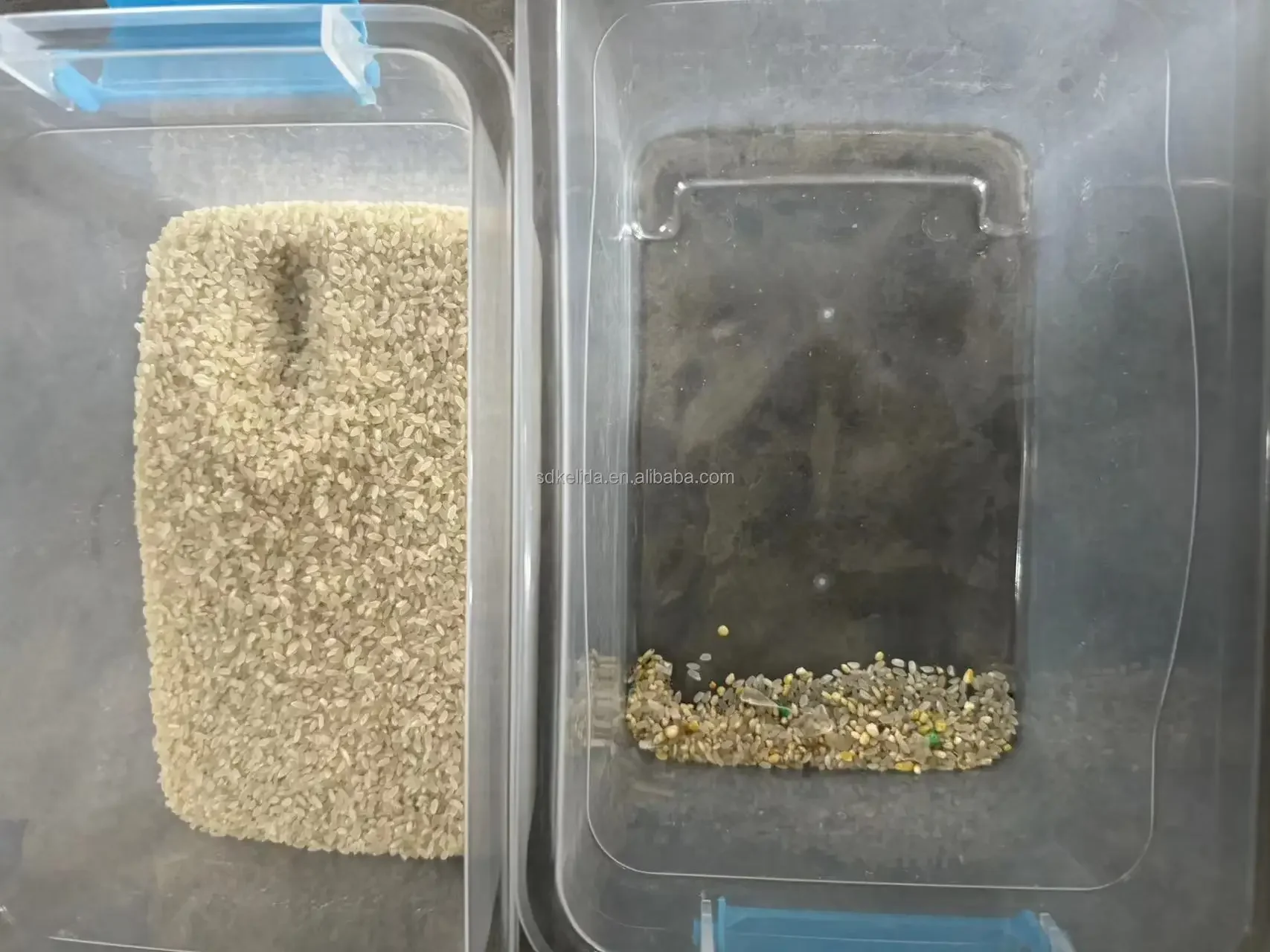 Mini Intelligent Rice Color Sorter Grain Coffee Peanut Peel Garlic Color Selector Beans Color Sorting Machine