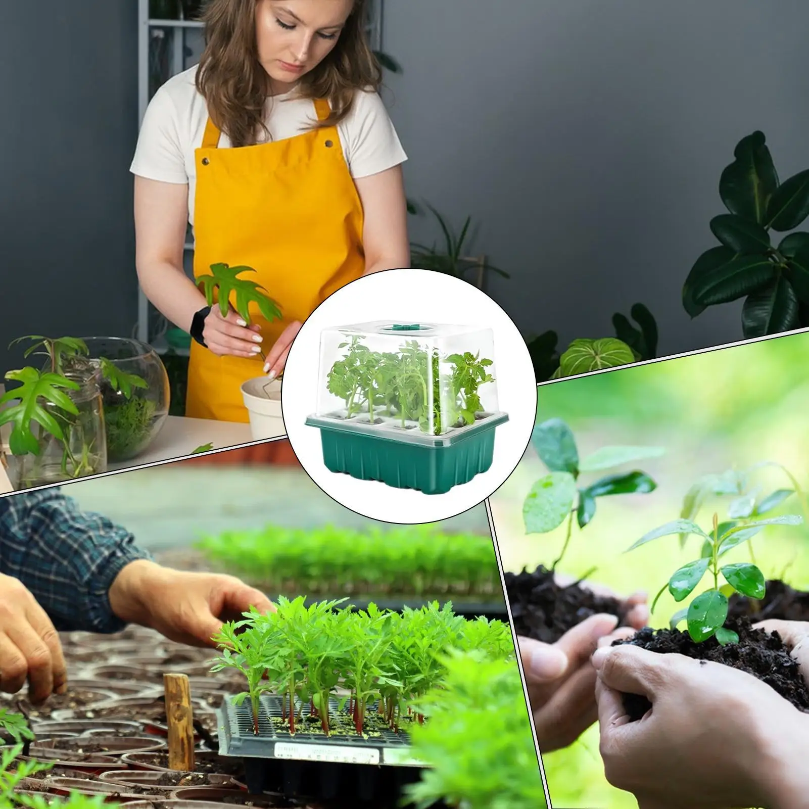 Sprout tray Germination Tray Plant Trays For Seedlings With Humidity Dome Greenhouse Growing Gardening Supplies For Indoor