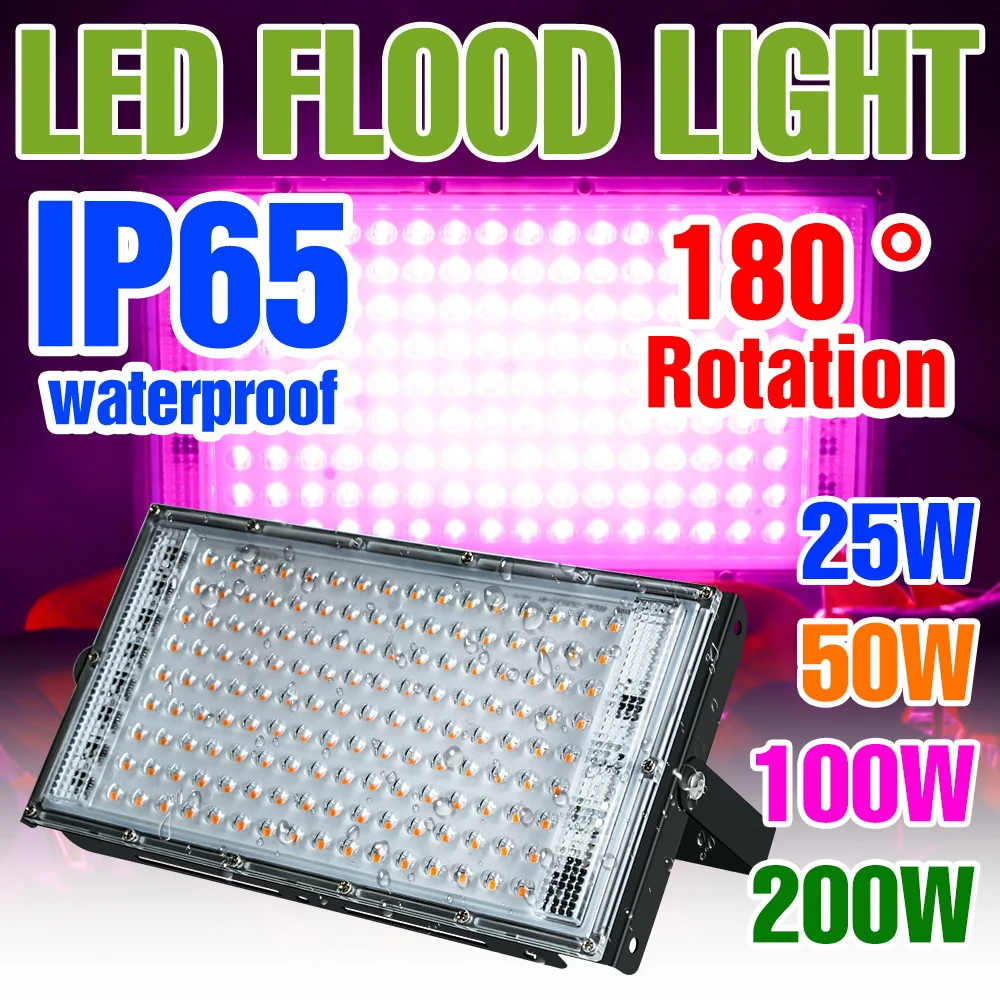 LED Grow Light Full Spectrum serra tenda Grow Box Flower Seed verdura coltivazione idroponica piante lampada 25W 50W 100W 200W