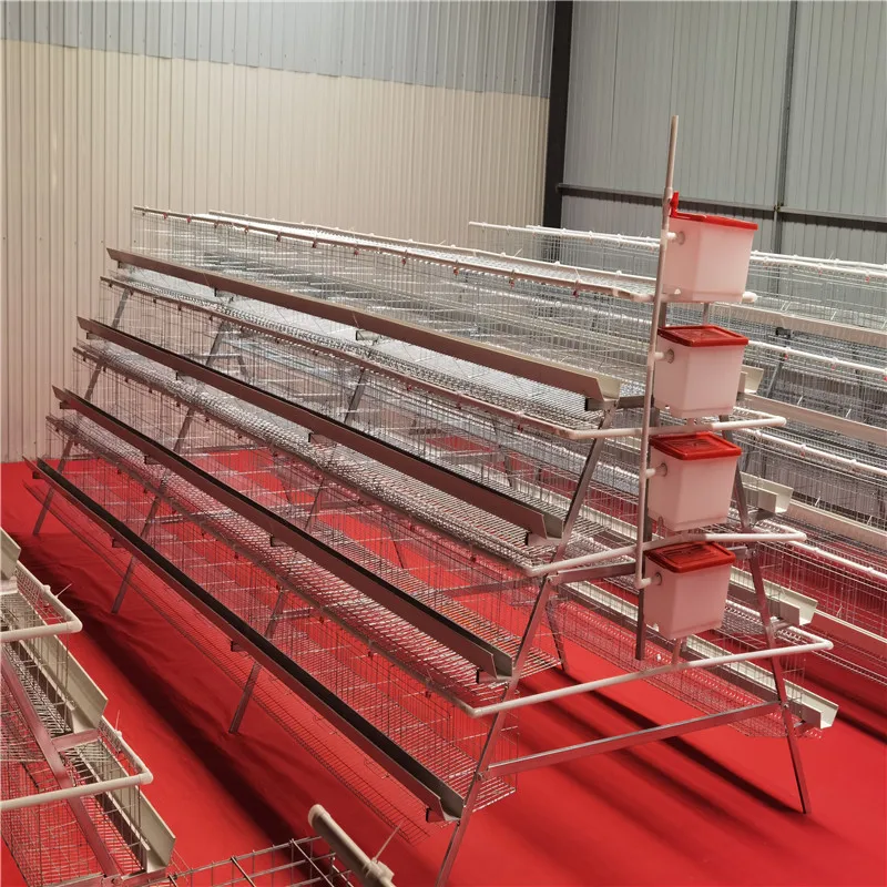 

Оптовая продажа автоматической 4-слойной батареи клетка для курицы птицы на продажу