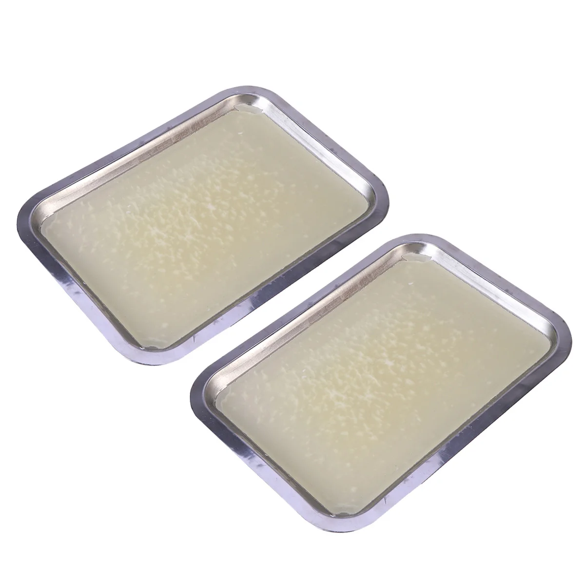 

2 Pcs Anatomical Dish Wax Tray Stainless Steel Dissection Biological Laboratory Equipment