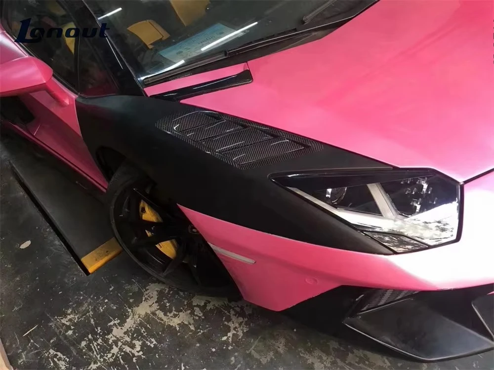 High Quality Upgrade to MSY Style Dry Carbon Fiber Auto Parts Car Front Side Fenders for LP700 4