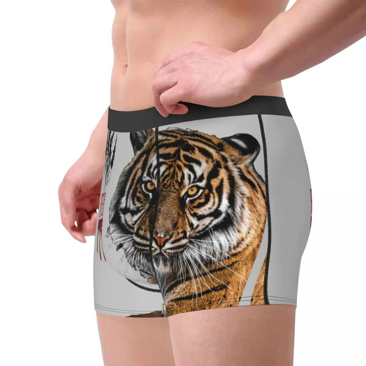 Men Amazing Tiger Scary Cat Boxer Shorts Panties Breathable Underwear Male Novelty Plus Size Underpants