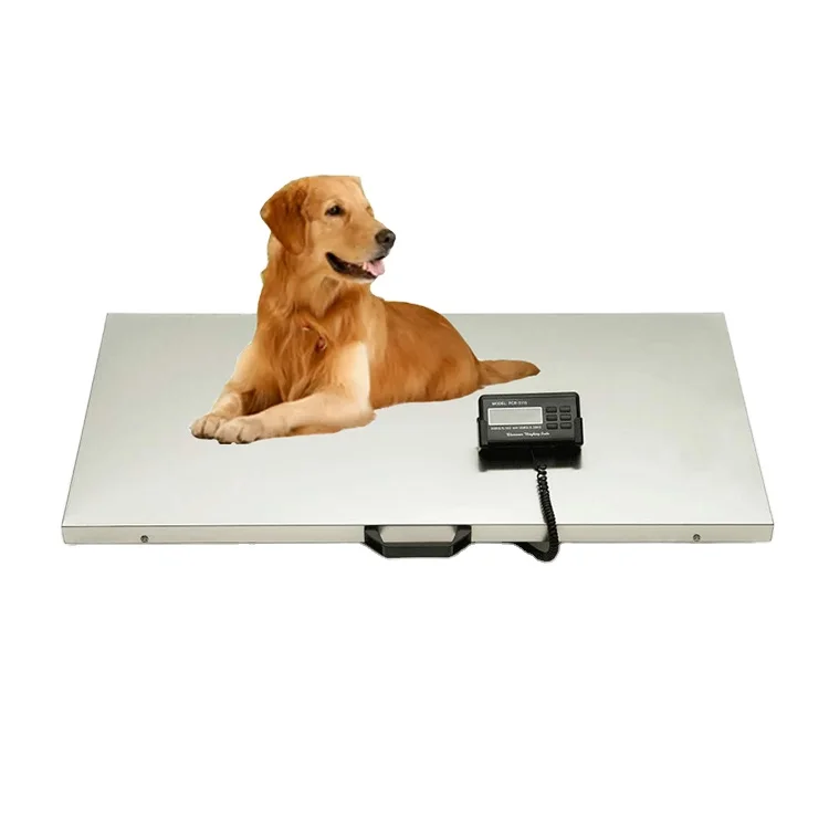 PCR-500 104*52CM 500KG 300KG  Large platform electronic dog pet scale,animal scale,postal scale