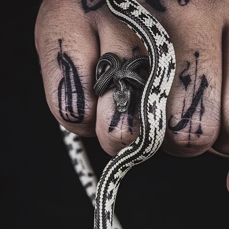 Rock Black Color Python Men Ring Vintage Punk Adjustable Ssnake Open Ring For Women Hip Hop Jewelry image 2