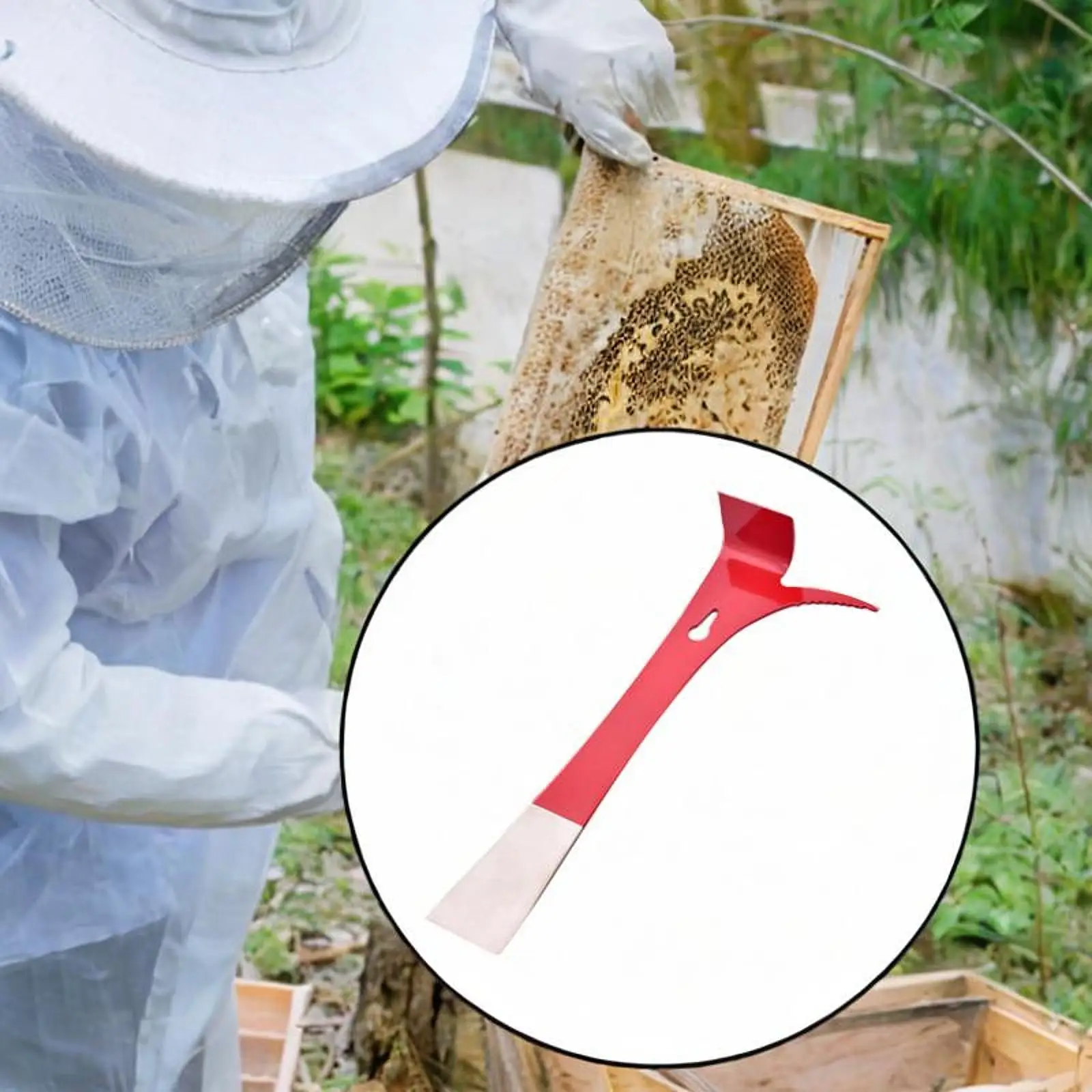 

Bee Hives Hand Tool Beekeeping Hives Scraping for Scraping Lifting Frame