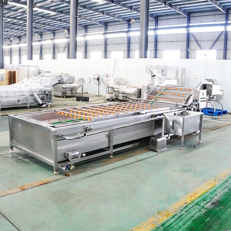 Sus 304 Avocado Ozone Vegetable Washing Machine Cabbage Cleaner Fruit Washer Carrots Cleaning Machine Lettuce Washer