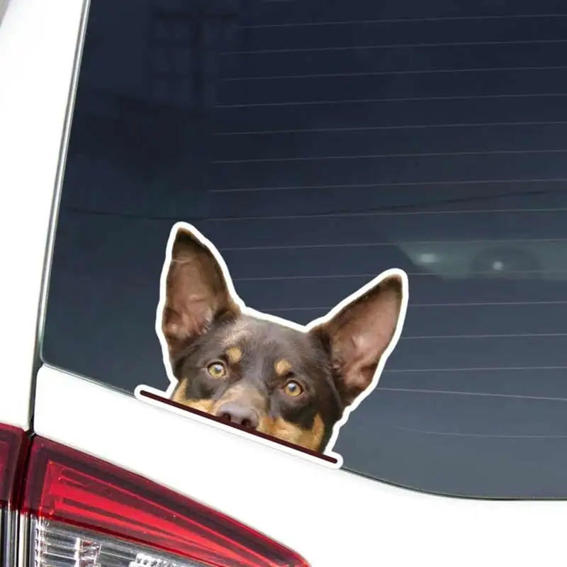 Австралийская наклейка на автомобиль Kelpie, выглядывающая черно-белая голова собаки, виниловая водостойкая уличная наклейка на бампер, окно для ноутбука Y175