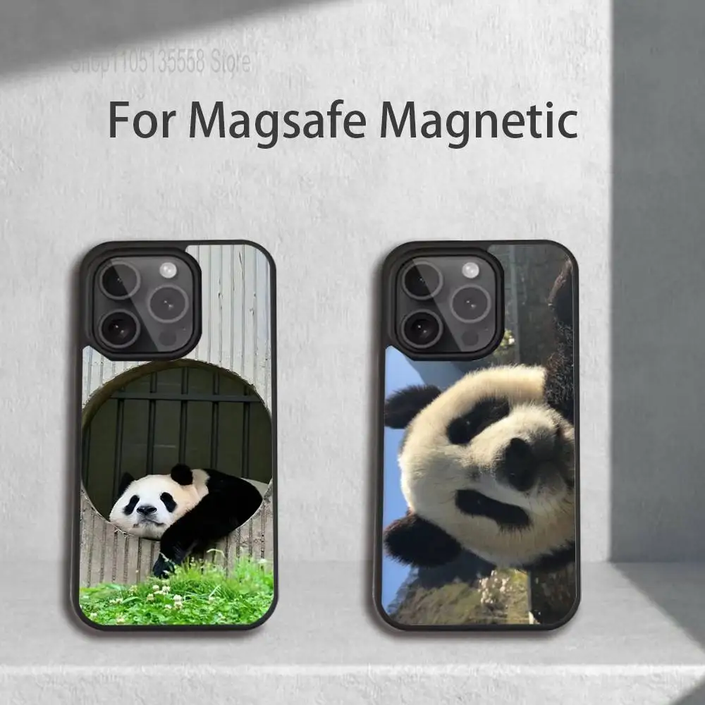 Funny P-Pandas Phon… - image