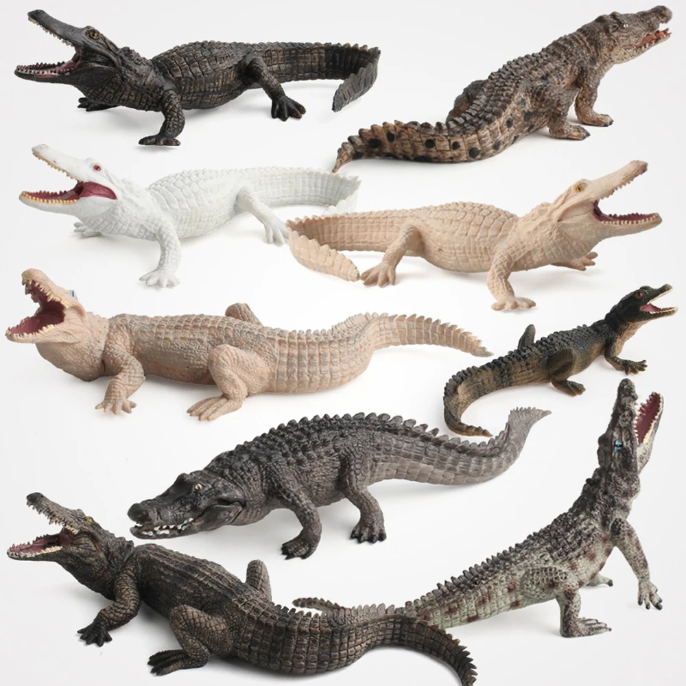 Modelo de vida salvaje para niños, regalo de criaturas, juguetes de animales de simulación, modelo de cocodrilo, juguetes educativos, figuras de acción de cocodrilo