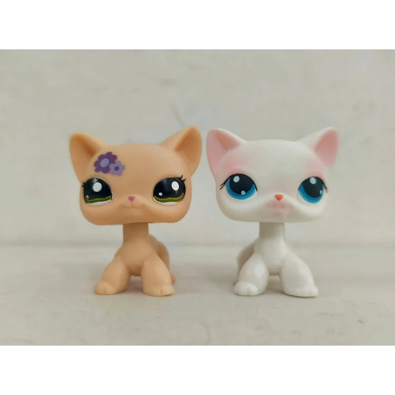 2 pçs/lote Littlest Pet Shop Amarelo Branco Gato de Cabelo Curto # 1962 # 64 figuras de animais