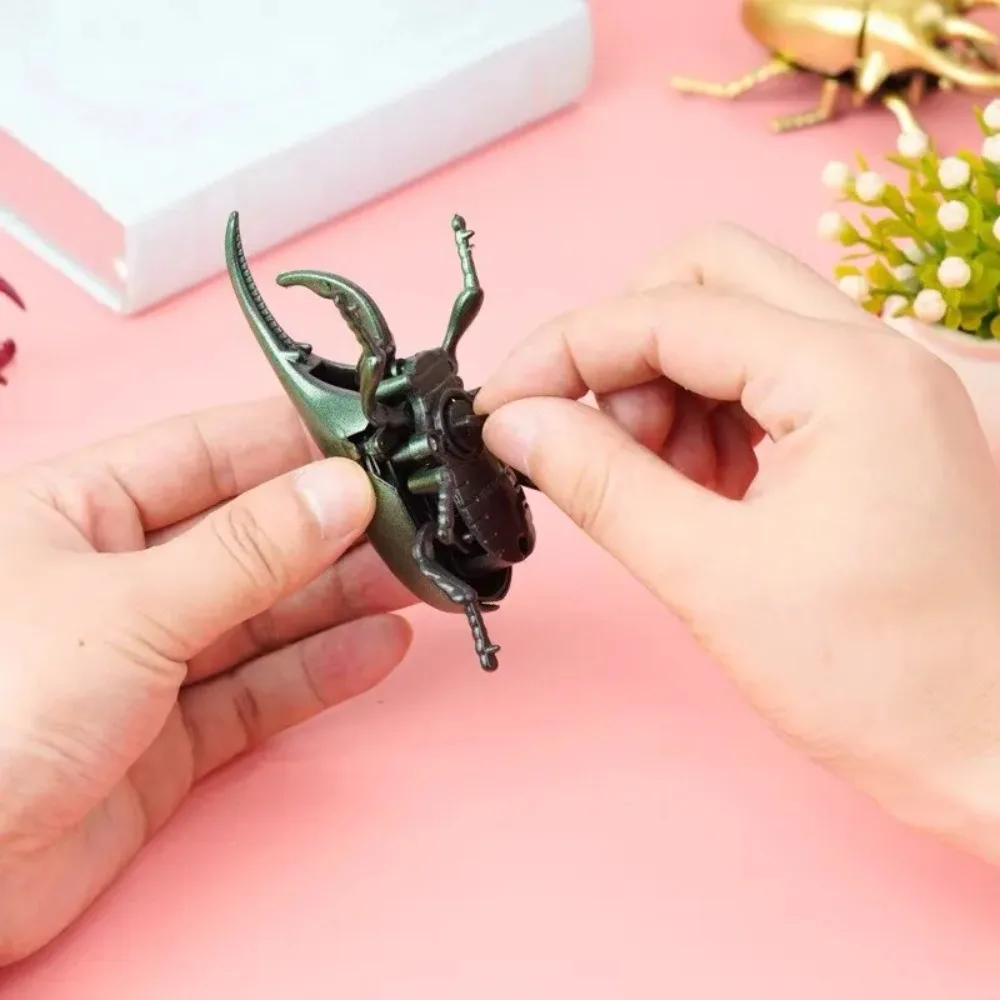 Practical Plastic Wind-Up Beetle Puzzle Insect Model Model Scarab Beetle Material Safety Model of Unicorn Immortal Insect