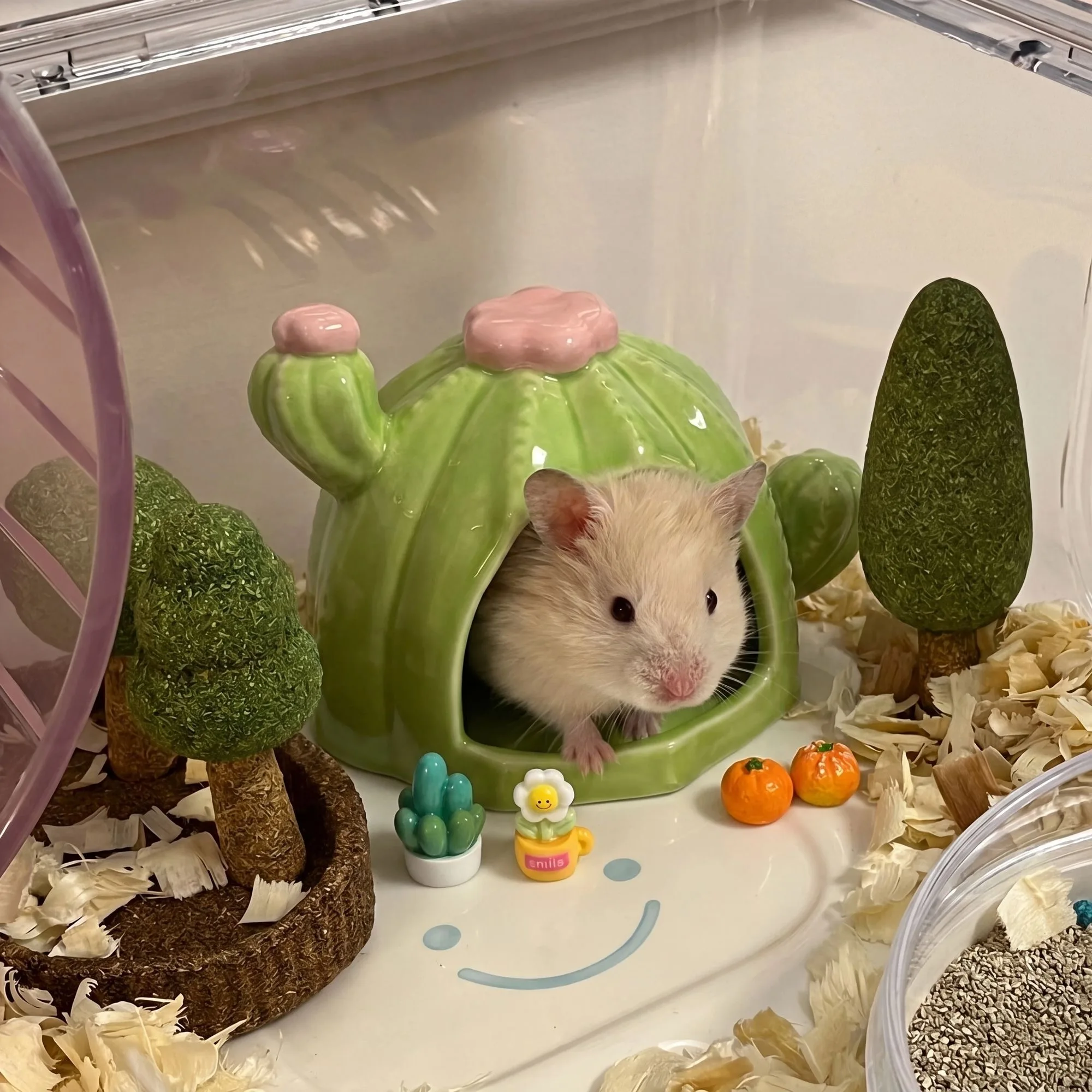 Hamster House For Rats Small Pet Items Ceramic Cactus Cage For Hedgehog Hamster Cage For A Rabbit Pet Products Chinchilla