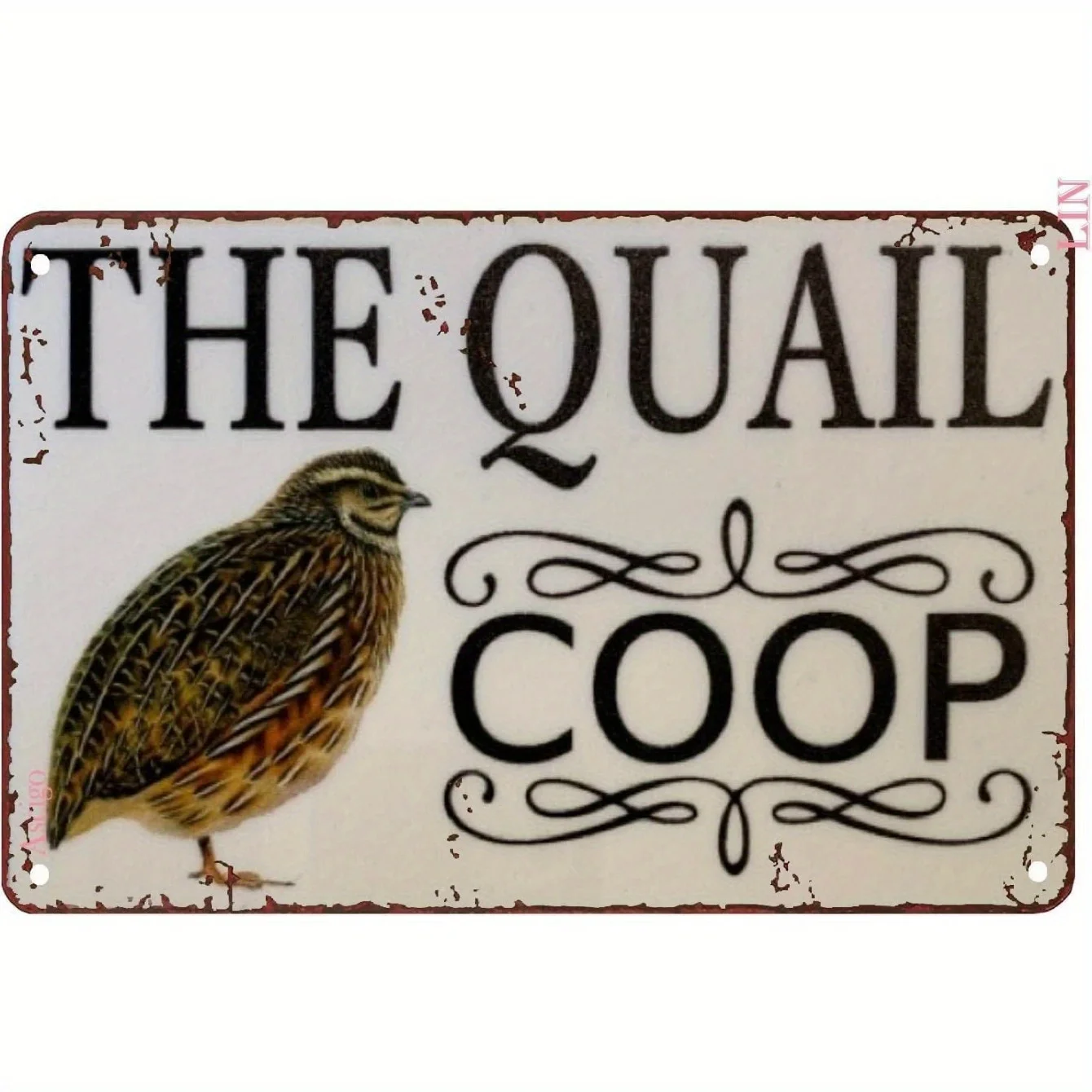 Quail Coop Metal Sign - Rustic Farmhouse Decor with Quail Bird Design - Heavy-Duty Metal Construction - Easy Hang Pre-Drilled H