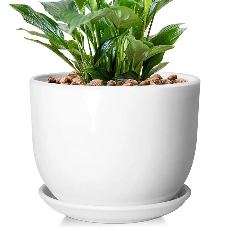 

8 Inch Ceramic Planter, Plant Pots with Drainage Hole and Separable Saucer,IndoorOutdoor Round Succulent Orchid Flower Pot,Indoo