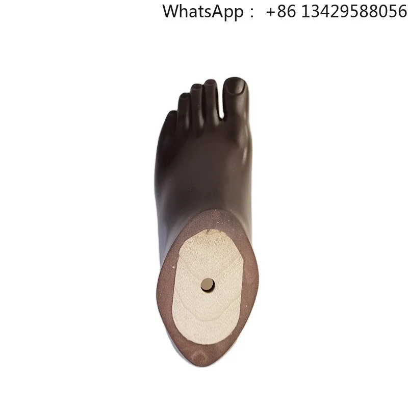 

Medical Artificial Limbs Manufacturer Prosthetic Foot Brown High Quality Artificial Limbs Sach Foot