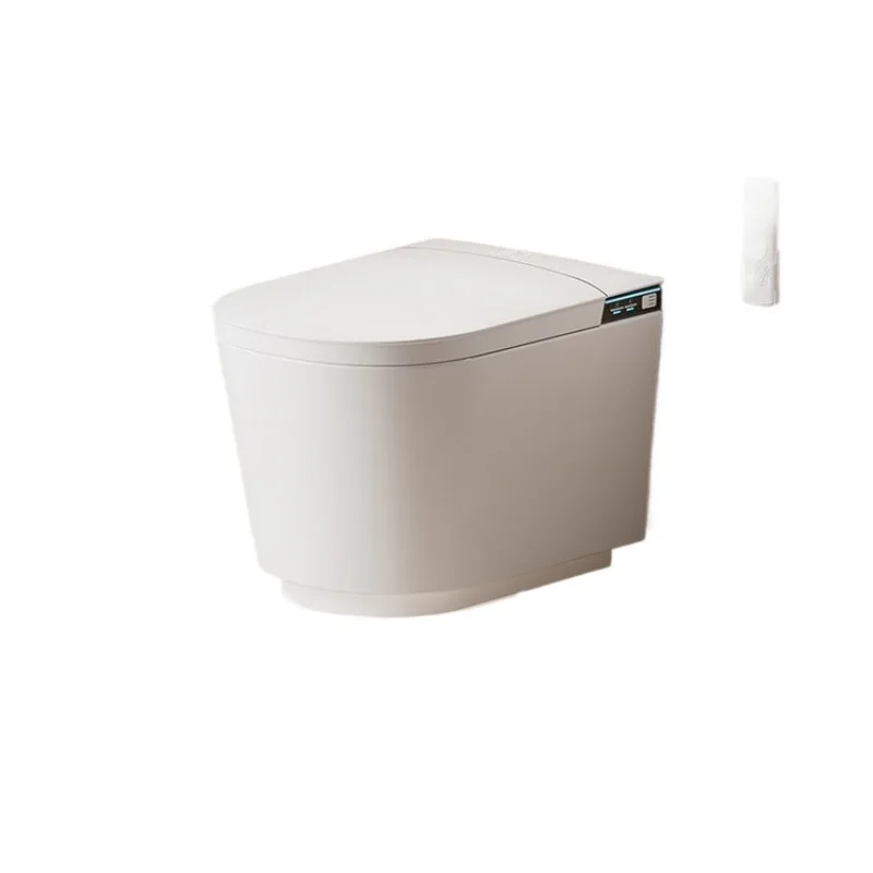 

Wall mounted smart toilet
