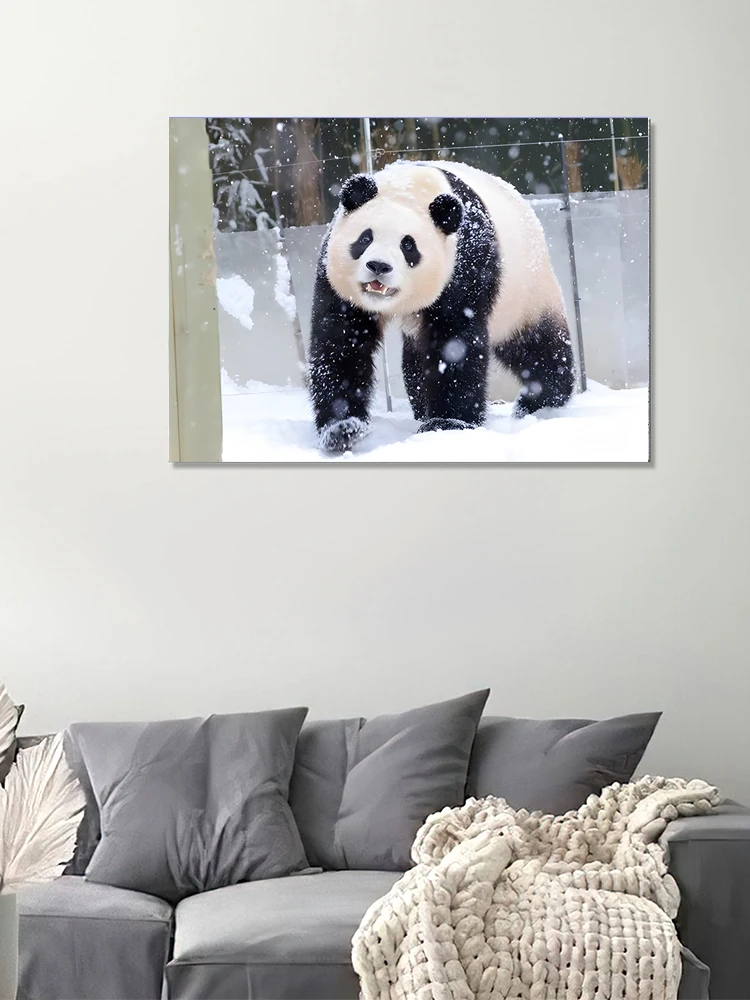 Panda FuBao DIY Diamond Painting Kit Cute Animals 2024 Round/Square Diamond  Full Diamond Mosaic Home Decoration Painting