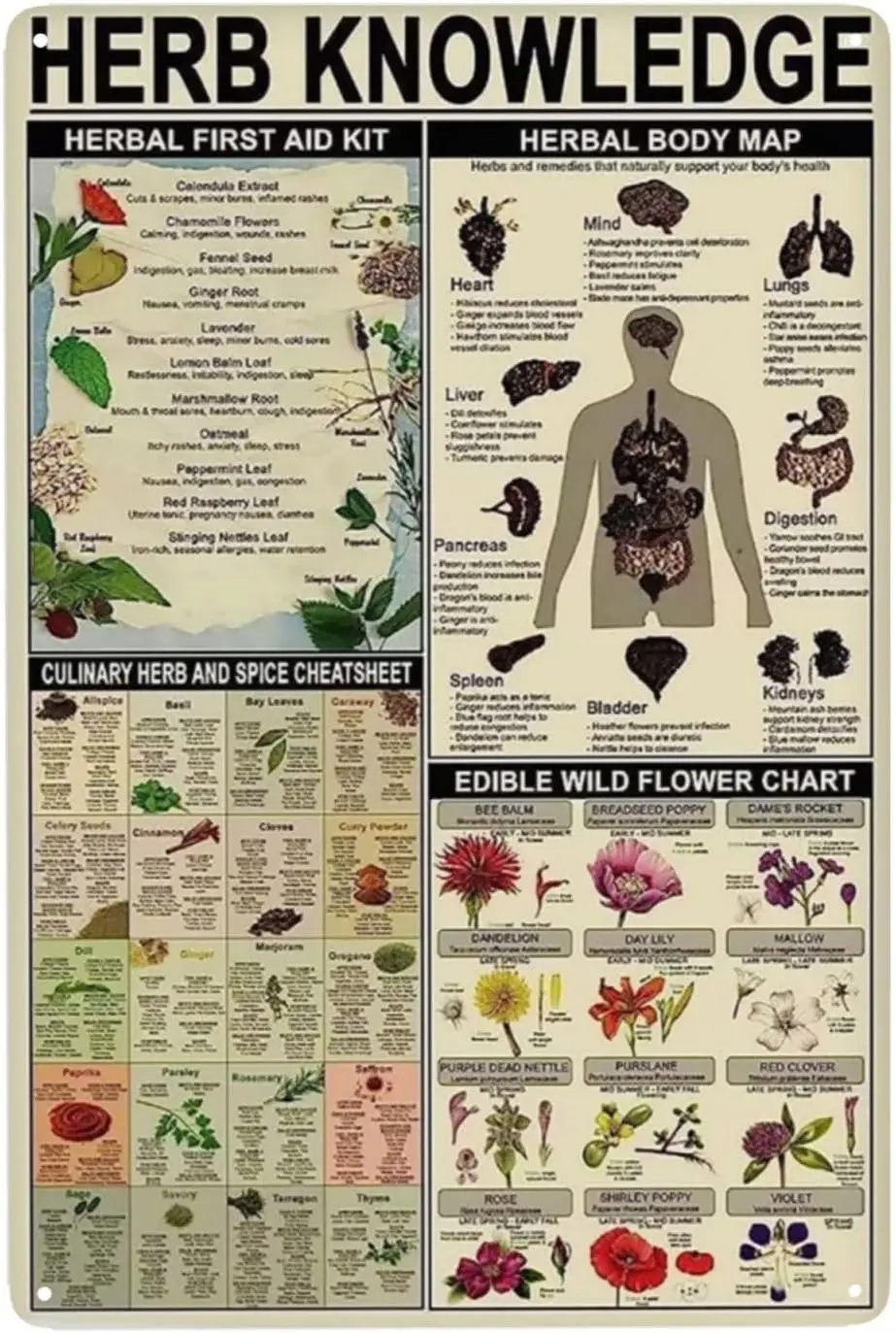 Herb Knowledge Metal Tin Sign Herbal First Aid Kit And Body Map And Edible Wild Flower Chart Wallart Artwork Poster School Offic