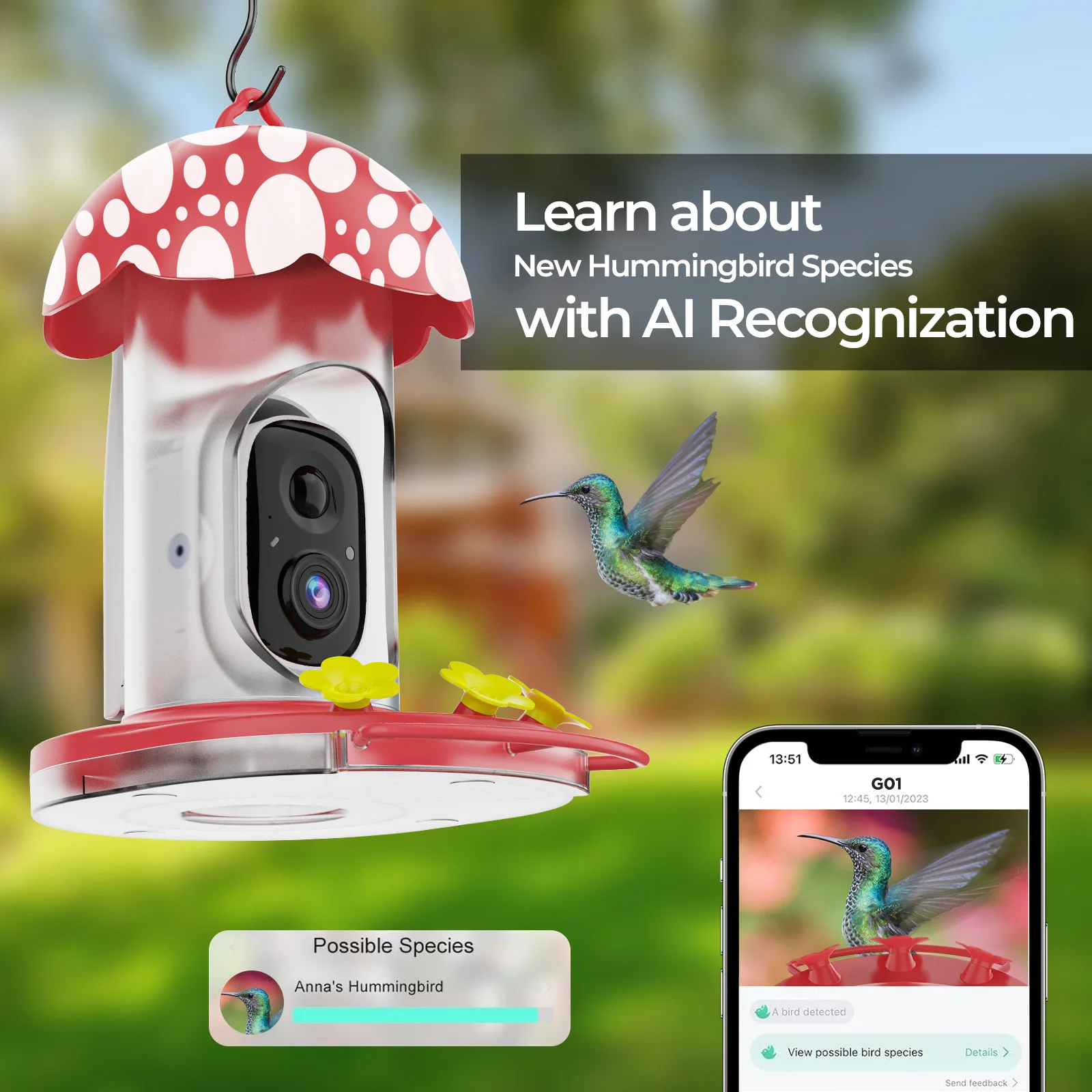 Inteligente Hummingbird Pássaro Alimentador, AI Bird Recognition Camera, Bird Pet Alimentador, App ao ar livre, Wi-Fi, Ant-Proof Bird Monitor