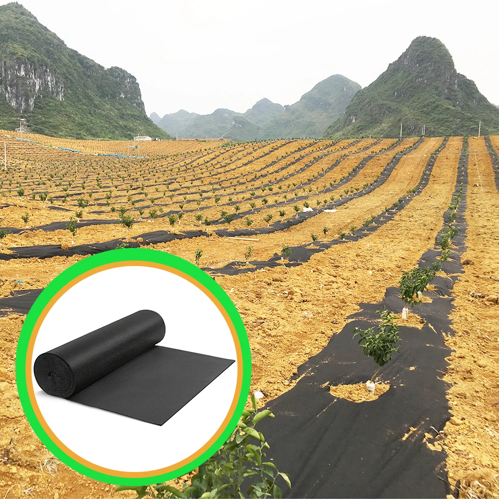 

2025Agricultural Orchard 3OZ 2ft X 330ft 0.6m X 100m Non Woven Biodegradable Mulch Film