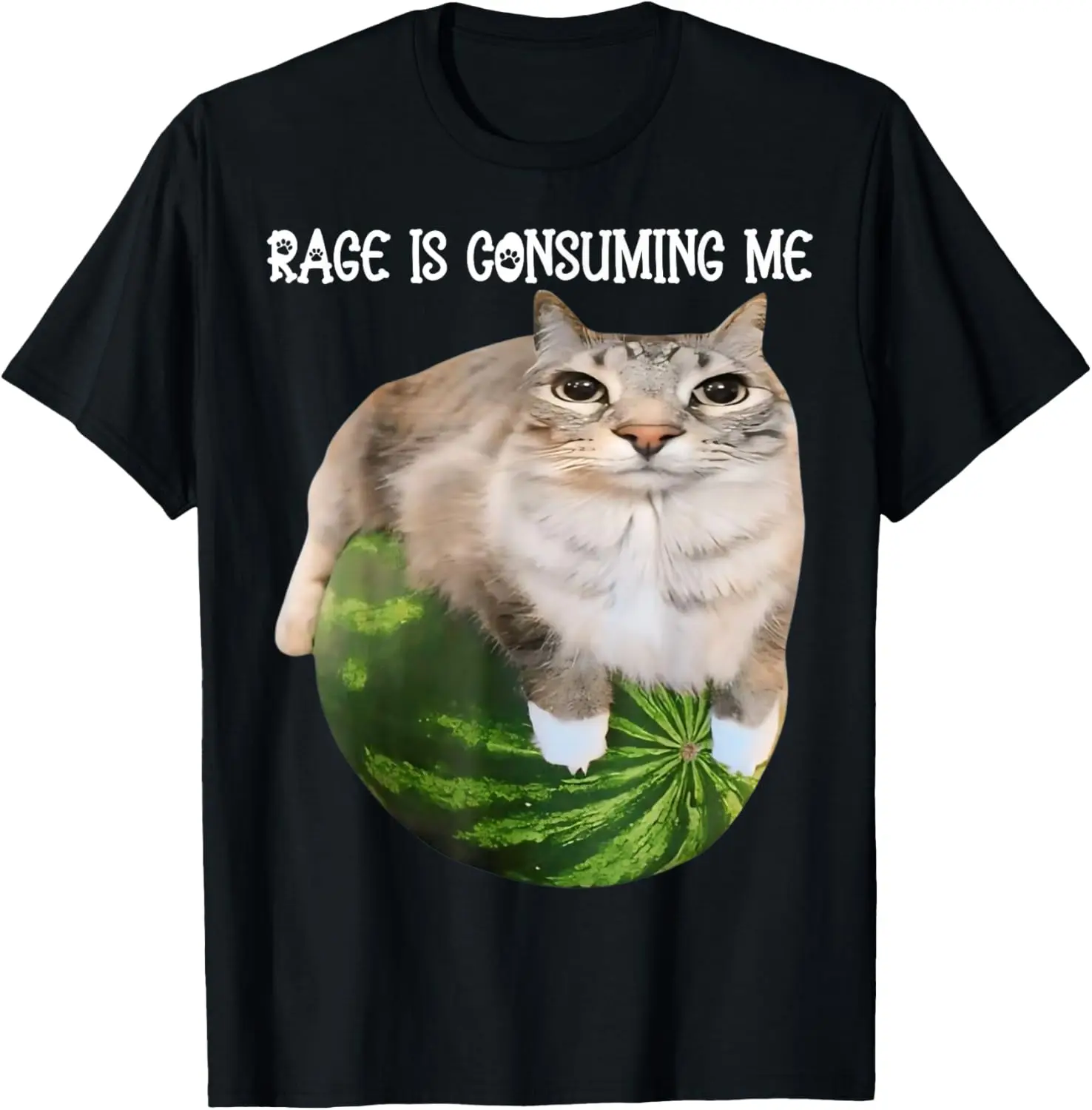 Rage Is Consuming Me Cat Meme Oddly Specific Memes Joke T-Shirt 100% Cotton Trendy Y2K Short-Sleeve Tee-Soft, Quick-Drying,
