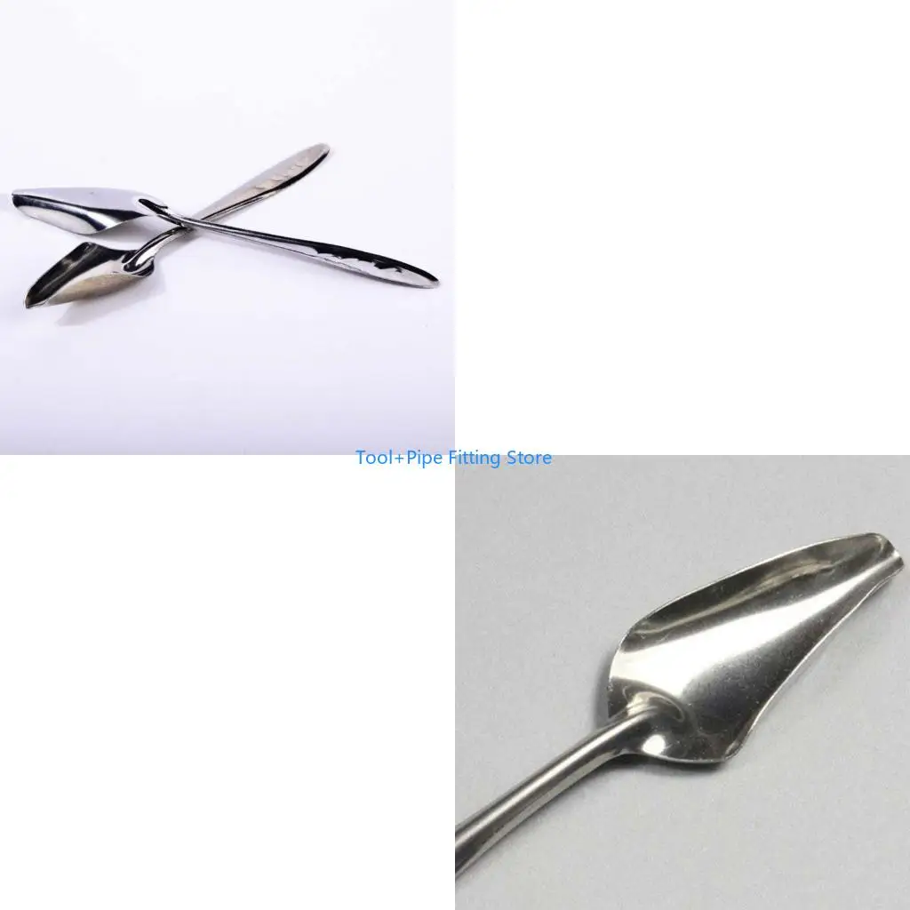 f92b-5pcs-parrot-feeding-spoon-spoon-из-нержавеющей-стали-Ручной-инструмент-с-металлическим-фидером-из-нержавеющей-стали