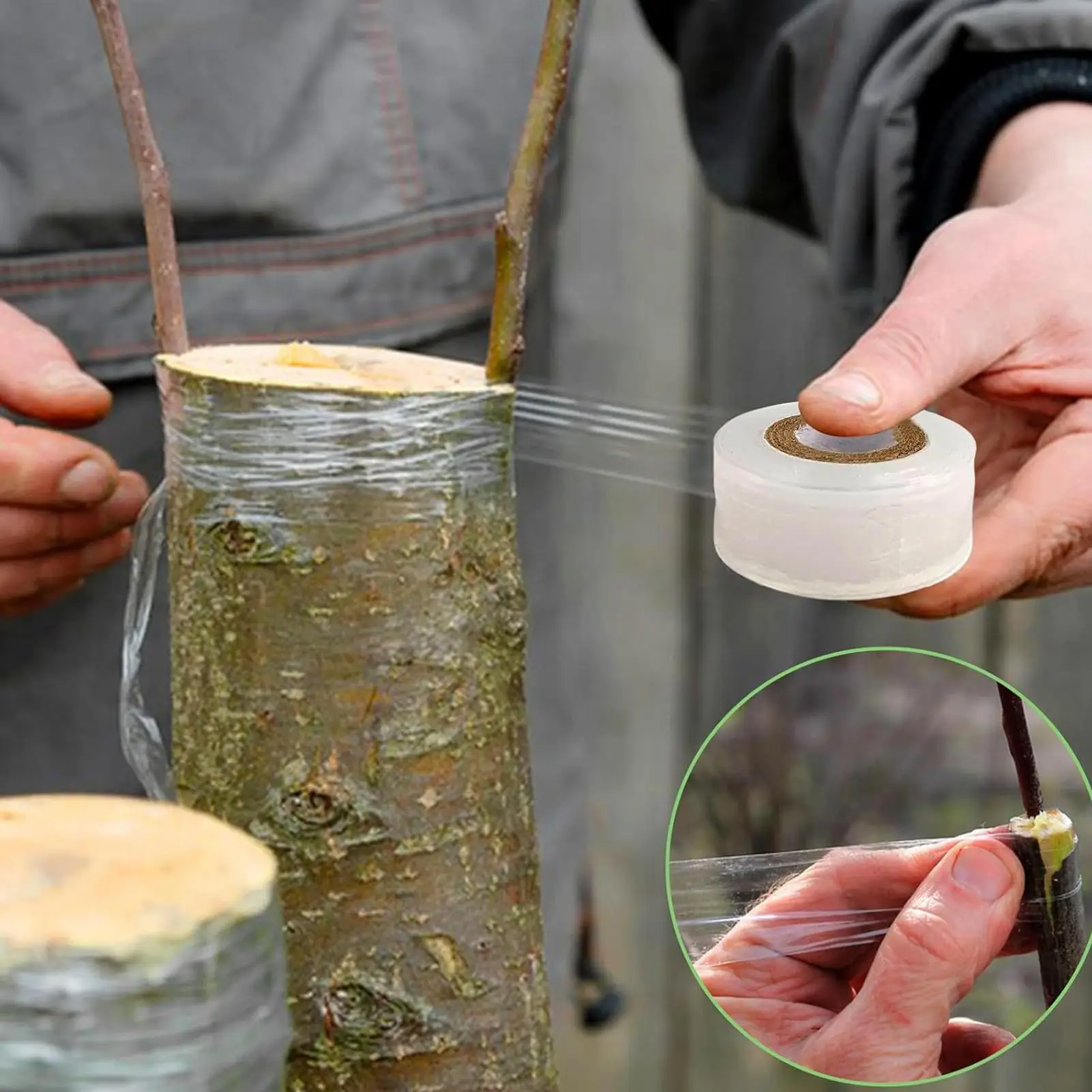 2 Rolls Grafting Tape Film Self-adhesive for Fruit Tree Nursery Plants Seedlings Vine Floristry Tomato Grafting Supplies Stretch