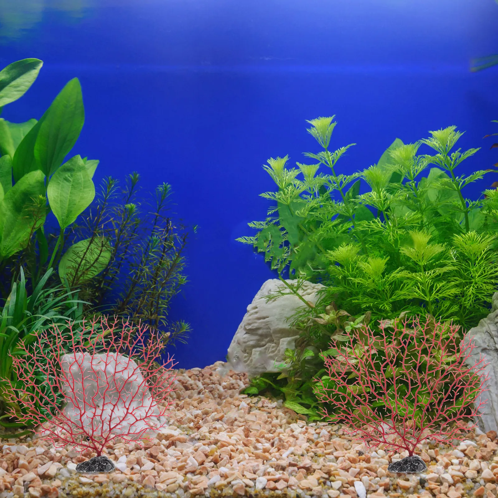 2Pcs Material Sea Fan Coral Aq - огляд і ціна Aquarium Planted Tank Setup