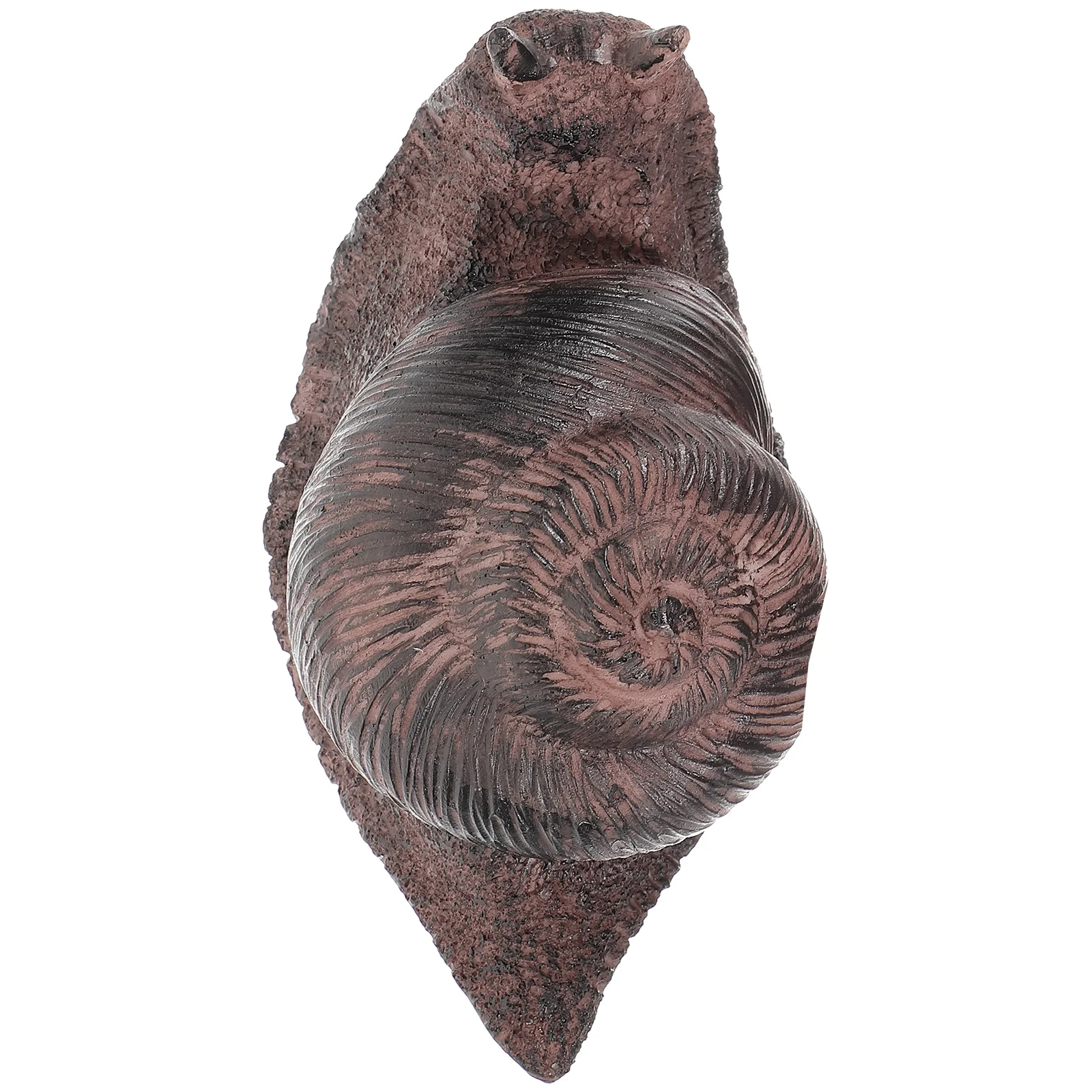 Simulated Stone Key Box Hider Outdoor Snail Storage Container Weather Proof Yard Decor Garden Accessory Solution Resin