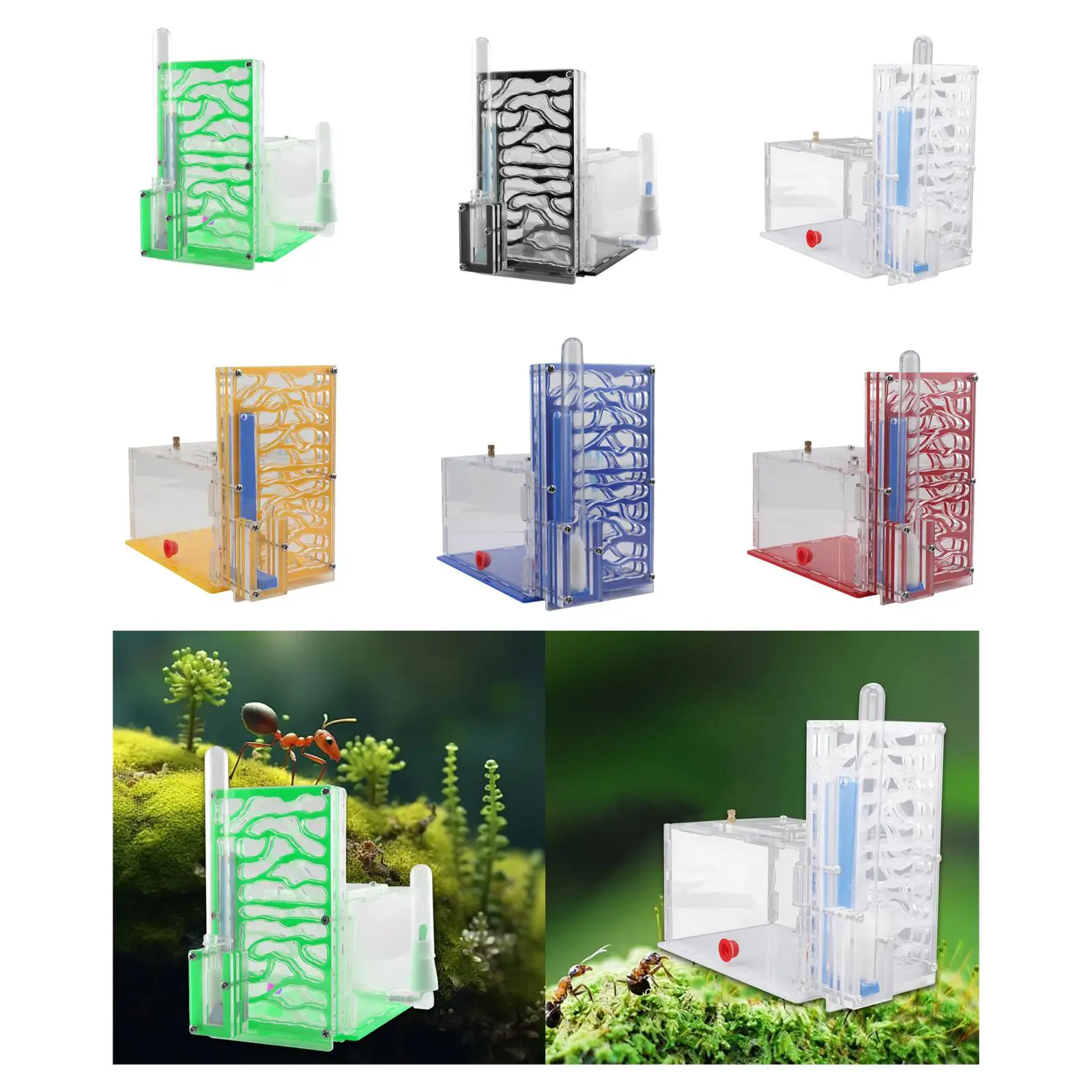 Ant Housing Nest Di… - image