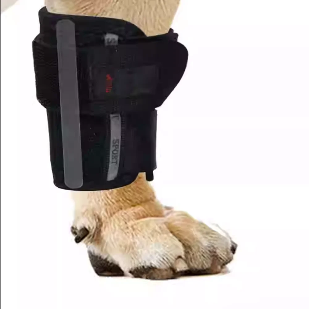 

Pet Leg Knee Brace Wrist Joint Rehabilitation Support Frame Sprains Post-Operative Fractures Teddy Cat Dog Short Assistance Belt