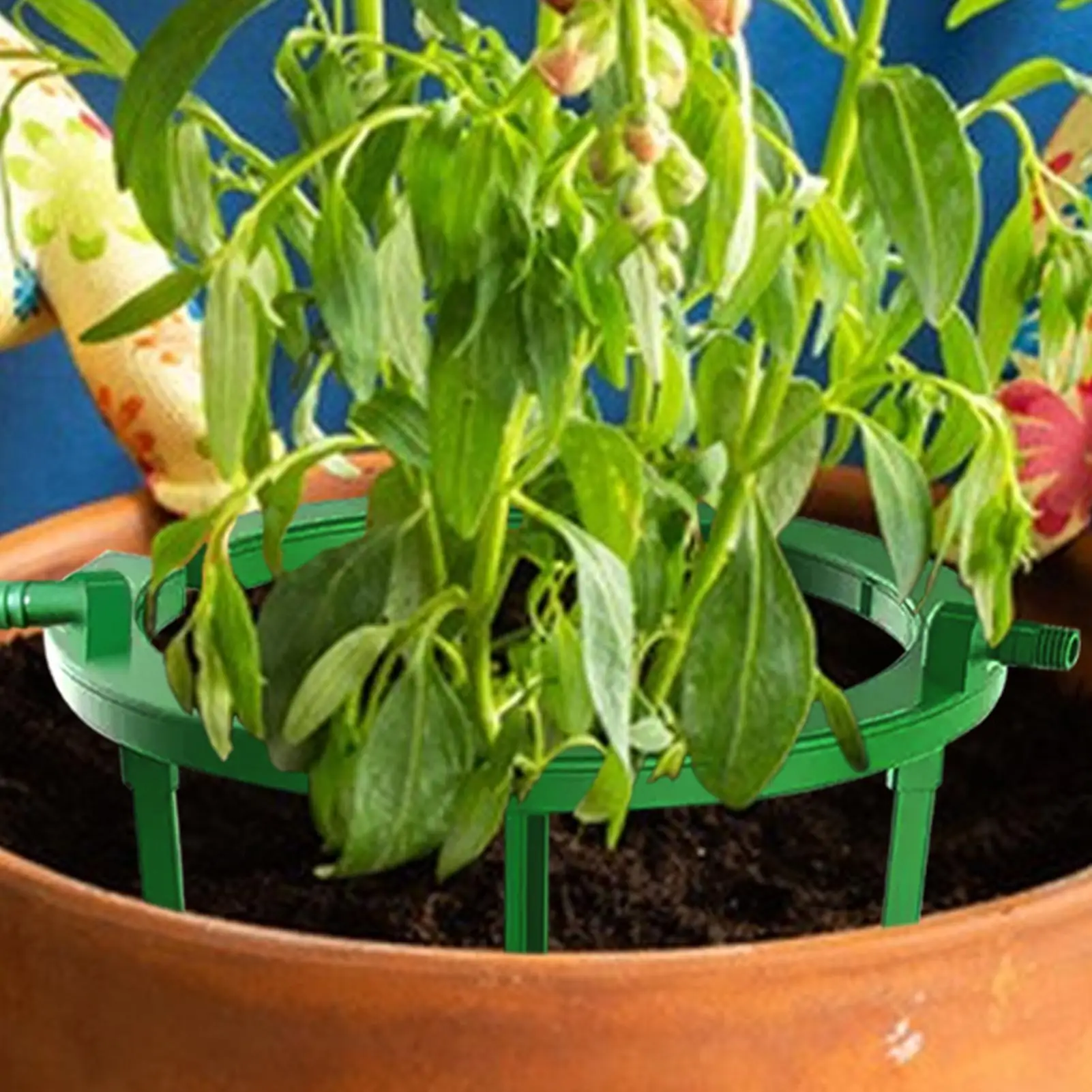 Plant Drip Watering System Plant Drip Loop With Support Plant WaterRing Drip Irrigation Watering Ring Garden Plant Water Dripper