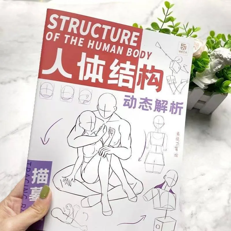 Anime Characters Tracing Sketch Hand Painted Tutorial Book Structure Of The Human Body Copy Practice Line Draft Practice Books