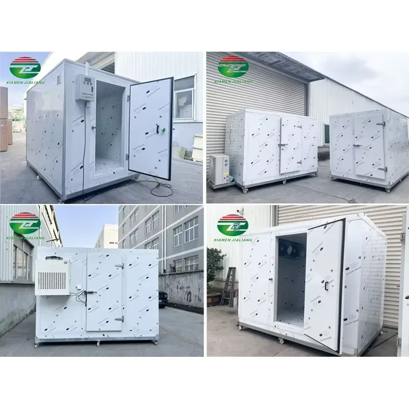 Cold Room Refrigeration for Sea Food Cold Chamber for Ice Cream Freezer Room