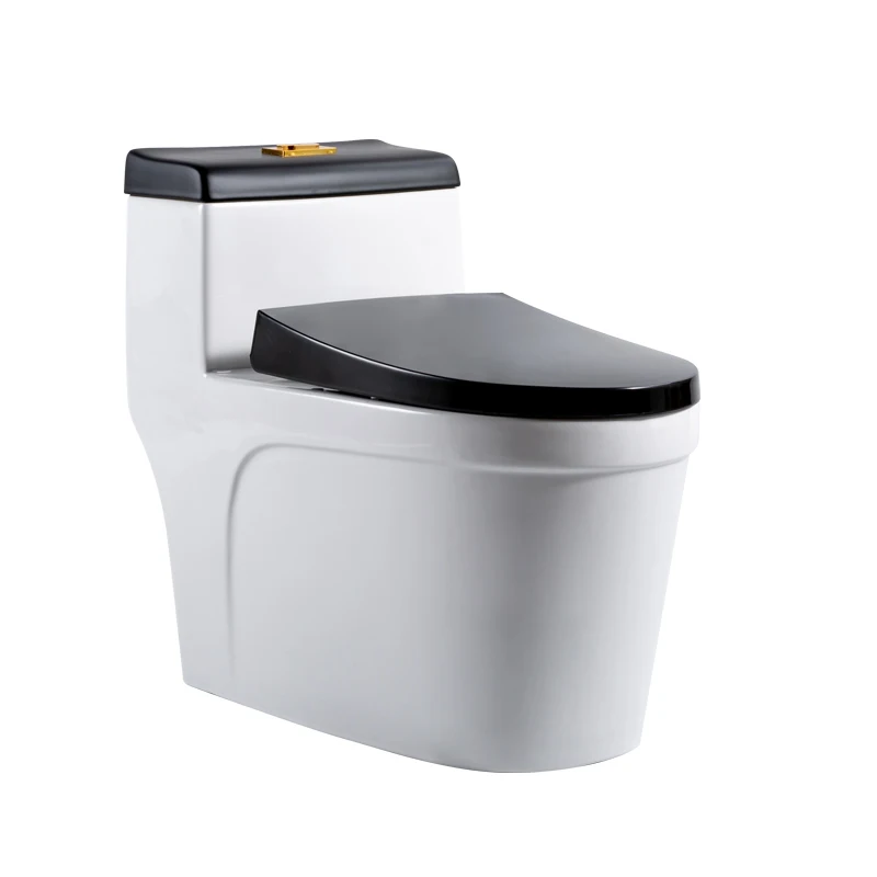 

Intelligent Library Slowly Closet Floor Mounted Toilet Dual Flush Toilet