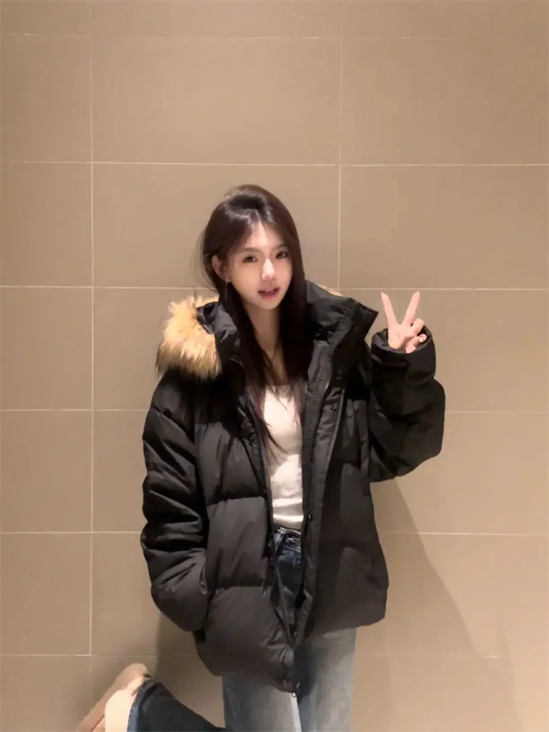 アメリカンスタイルのトレンディなブランドデザイン、襟付きフード付きブレッドジャケット、女性用多用途通勤用暖かいニッチベーシックコットンジャケット