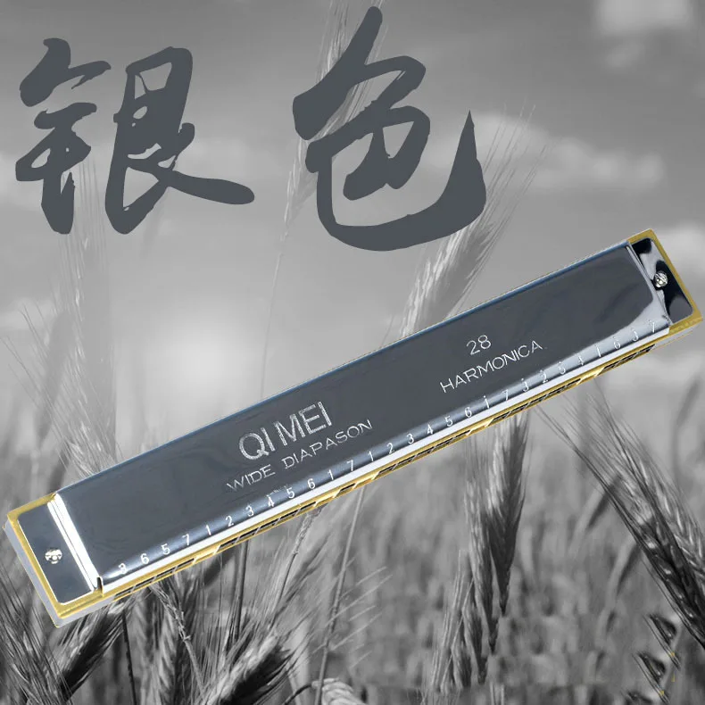 Hooqu Высококачественная губная гармошка для начинающих и взрослых, профессиональная 28-луночная полифоническая губная гармошка с акцентом C