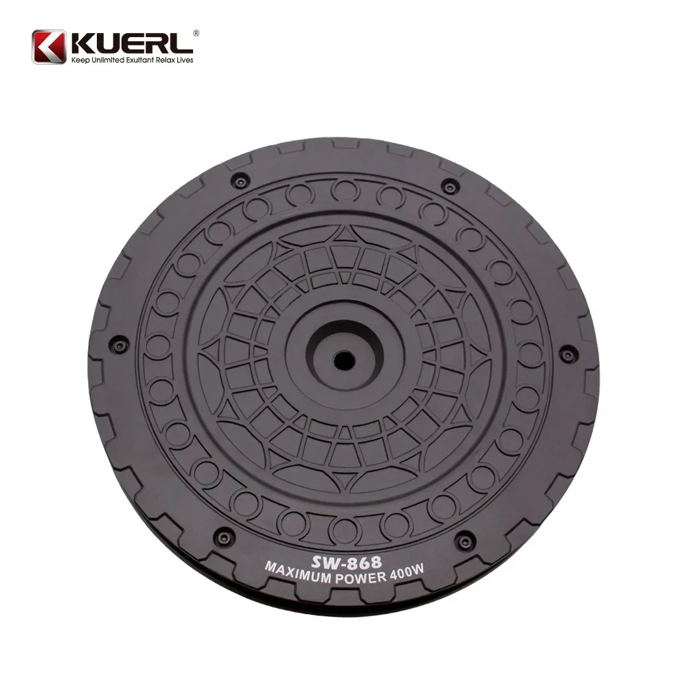 Wholesale Professional 9 Inch Active Universal Car Spare Tire Subwoofer RMS Power 300W Car Audio Subwoofer