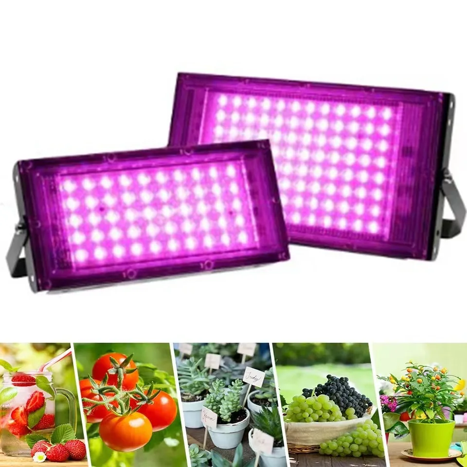 Growing Lamp 220V 110V LED Plant Grows lights 50W 100W 200W 300W Phyto Lamps  Full Spectrum Floodlight for Greenhouse Hydroponic