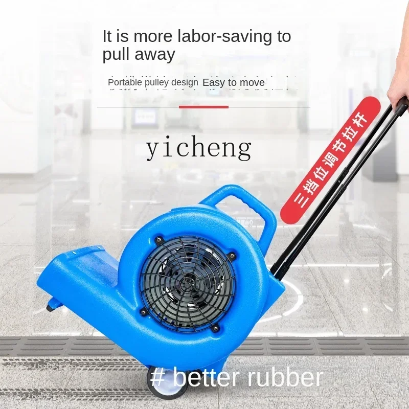 ZF Commercial High-Power Drying Hair Dryer Hotel Carpet Toilet Floor